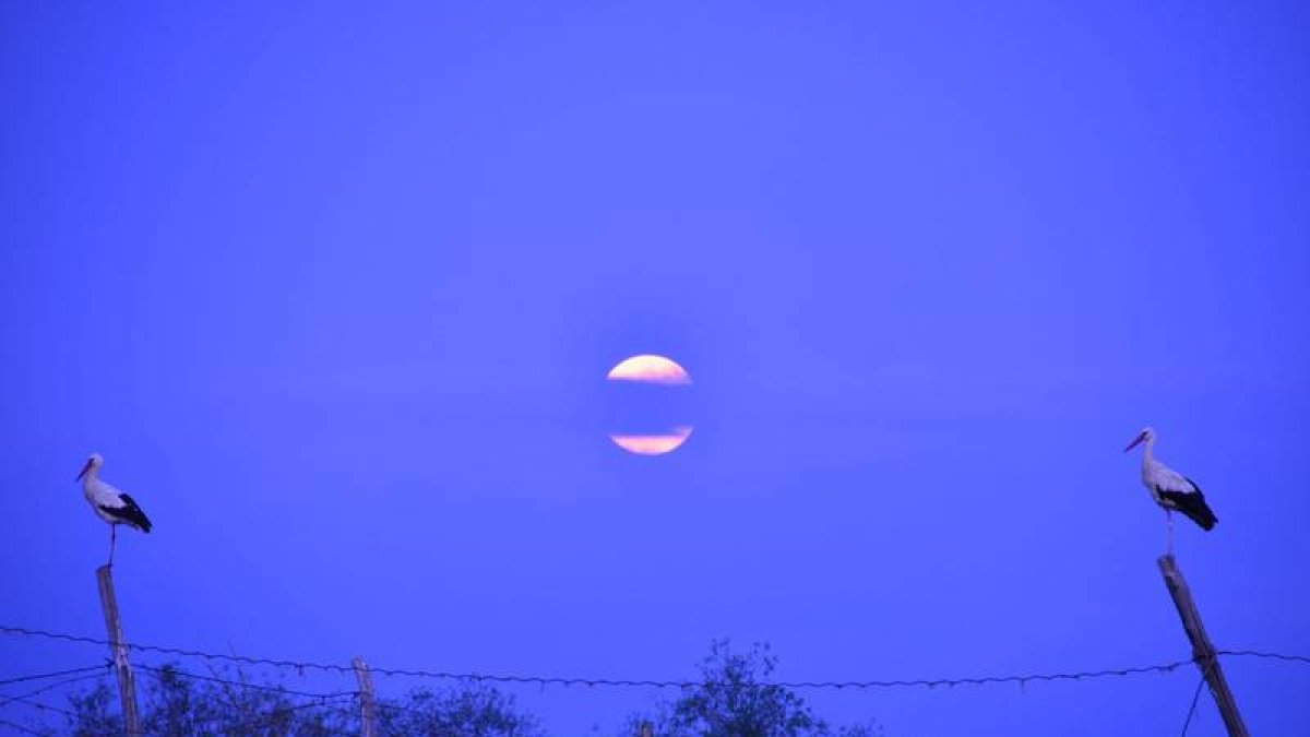 'Sosiego al amanecer'