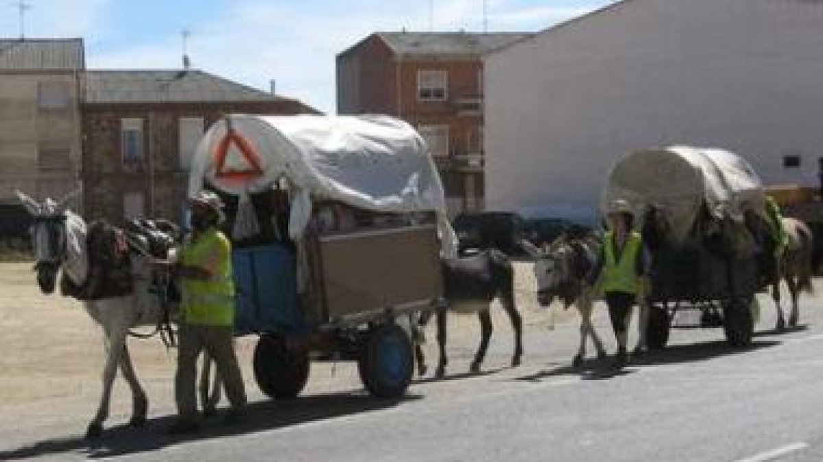 La comitiva de peregrinos y animales ayer a su llegada a Astorga.