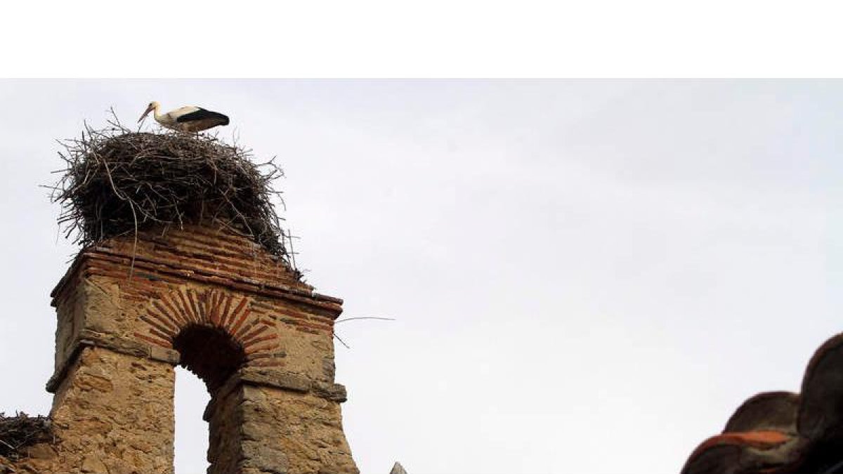 El Camino de Santiago a su paso por Valdefresno alcanza la última etapa antes de llegar a la capital. Por eso algunas iniciativas privadas están estudiando construir un nuevo albergue de peregrinos en las inmediaciones de Arcahueja. Una instalación que cu