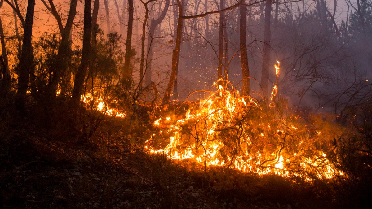 Imagen de archivo de un incendio en la provincia. FERNANDO OTERO PERANDONES.
