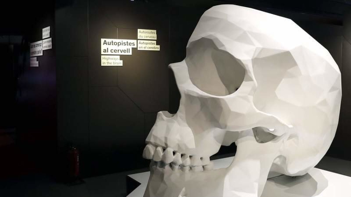 DR22P6F1-13-24-13-5.jpg