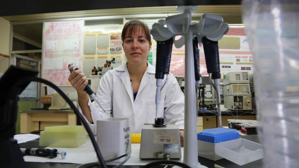 Miriam Pérez Guerrero ha realizado la investigación, dirigida por Ana Isabel Álvarez de Felipe y Gracia Merino.