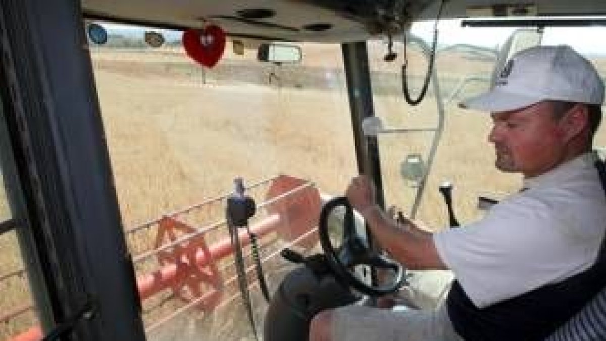 Una máquina cosecha cereal en la comarca de la Sobarriba, en las inmediaciones de León capital