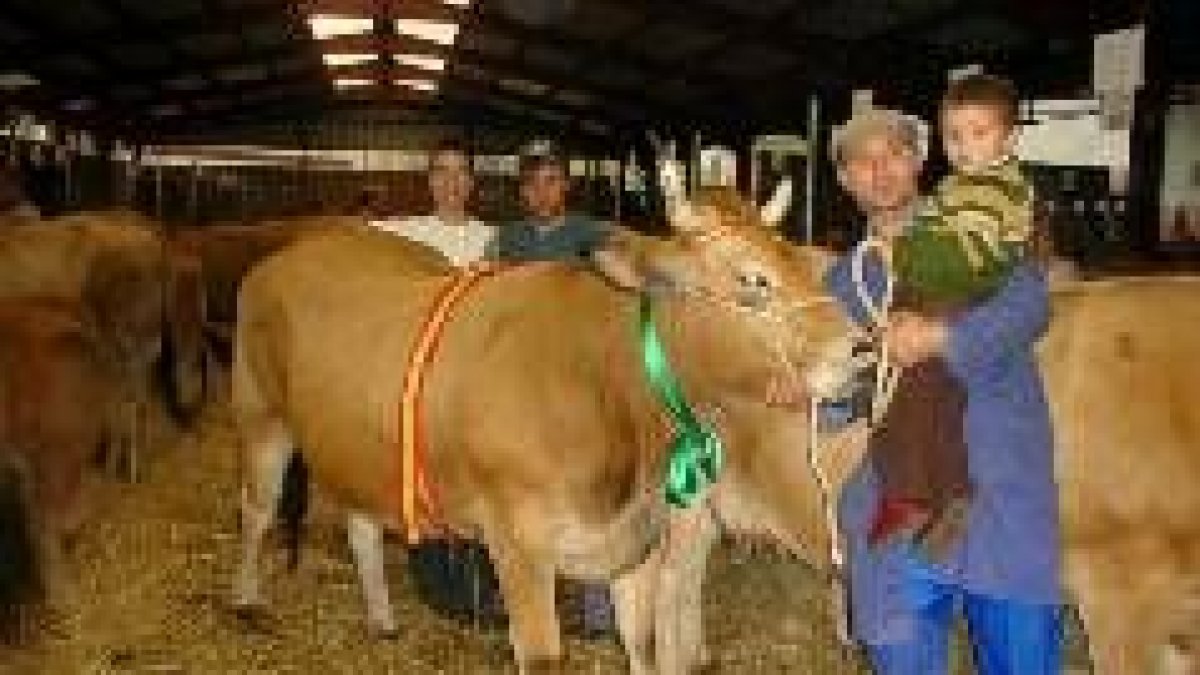Un momento del concurso ganadero celebrado ayer en el ferial de Las Rozas, de Villablino