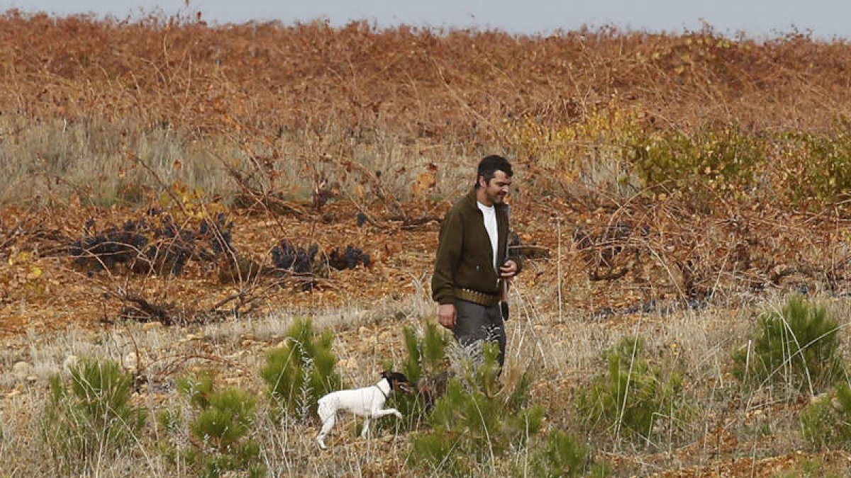 La temporada de caza menor, que finalizará el 29 de enero, está resultando positiva. MARCIANO