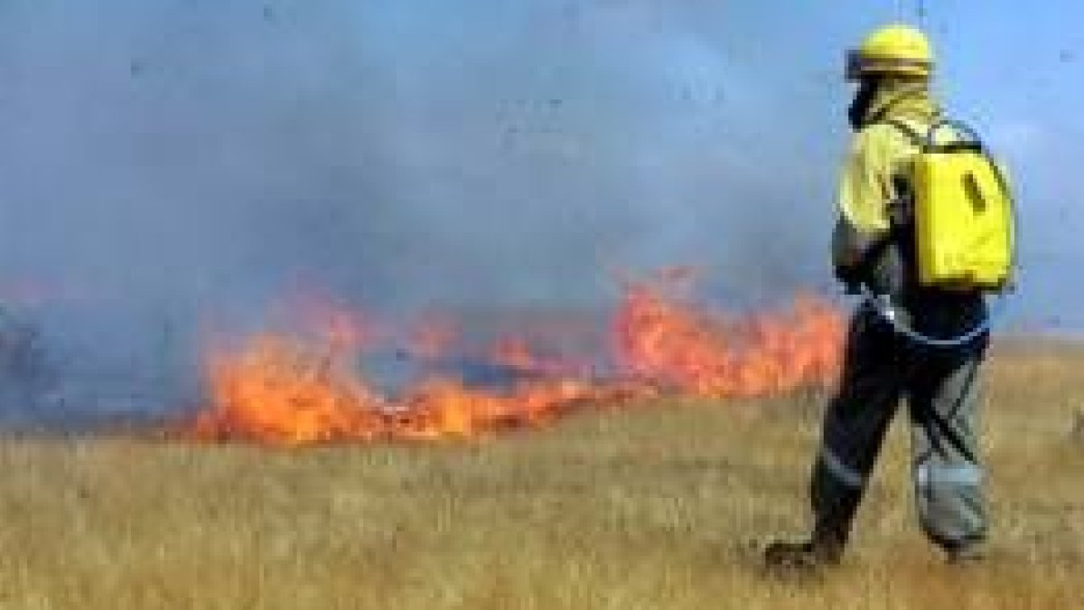 Uno de los brigadas intenta sofocar las llamas del incendio de Carrizo