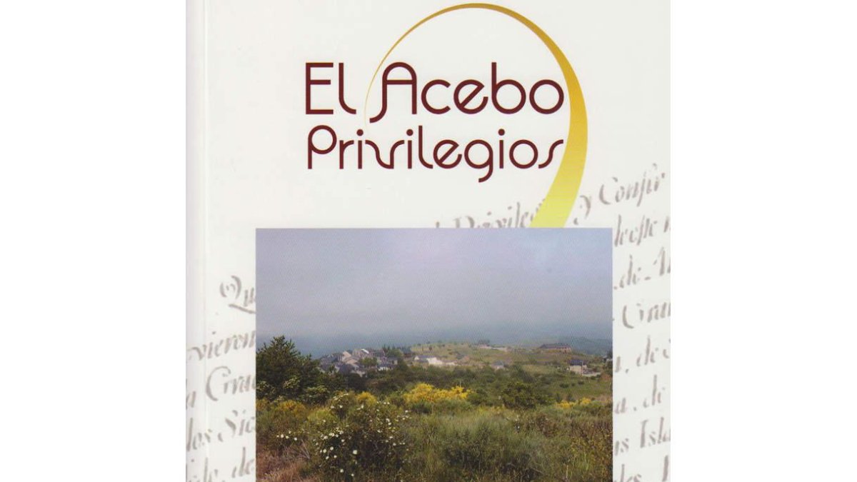 La portada del libro escrito por Hernán Alonso.