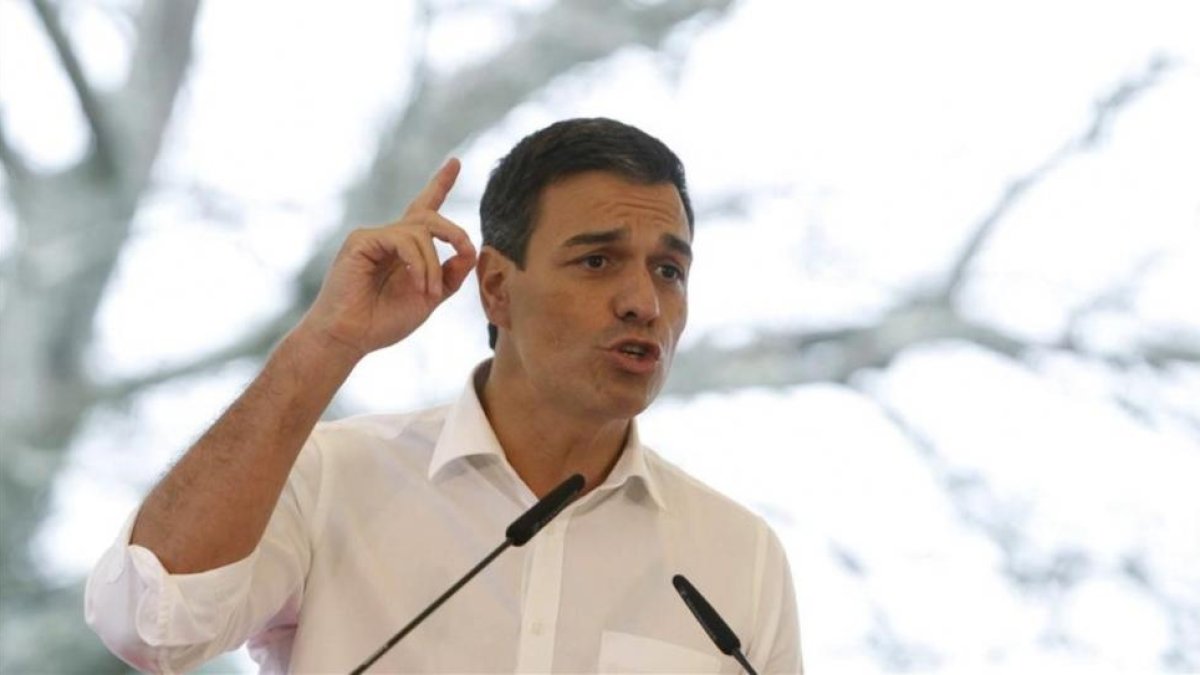 El exsecretario general del PSOE Pedro Sánchez, en un acto con militantes.