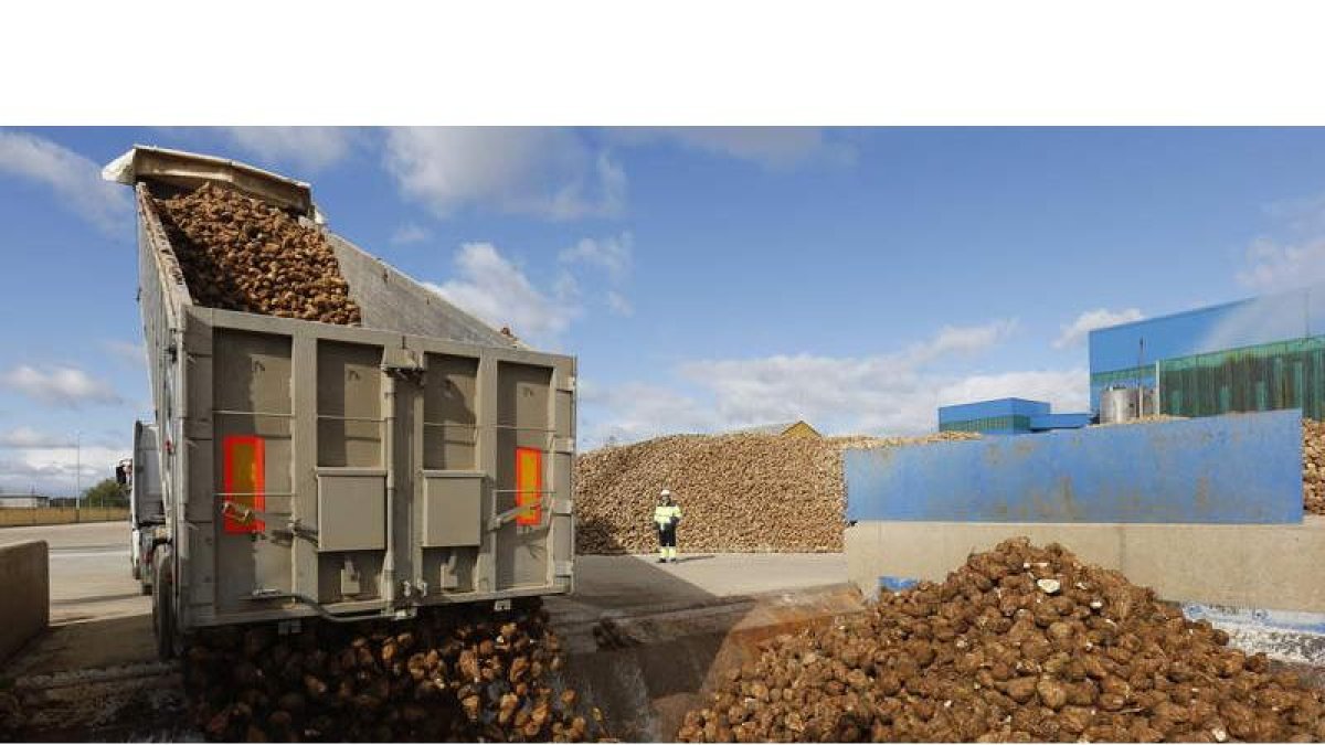 La fábrica de La Bañeza es la segunda de la comunidad con más superficie e índice de recepción, después de la zamorana de Toro.