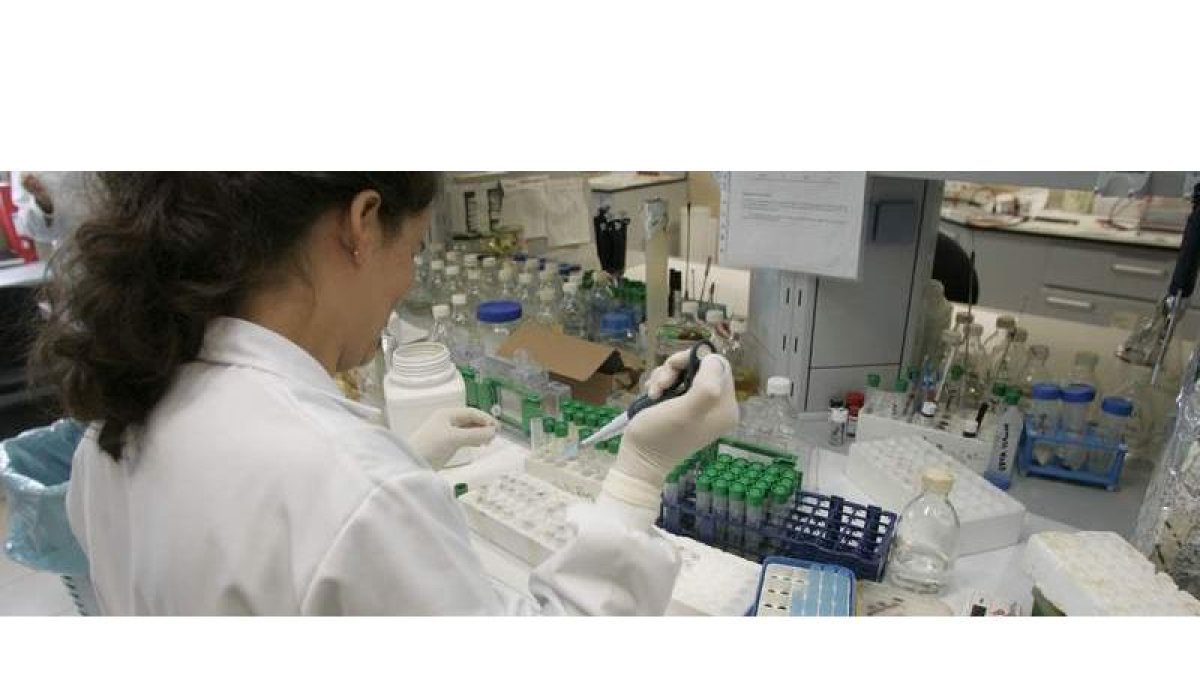 Uno de los grupos de trabajo de la Universidad de León que cuenta con un proyecto de investigación relacionado con la Biotecnología, en una imagen de archivo.