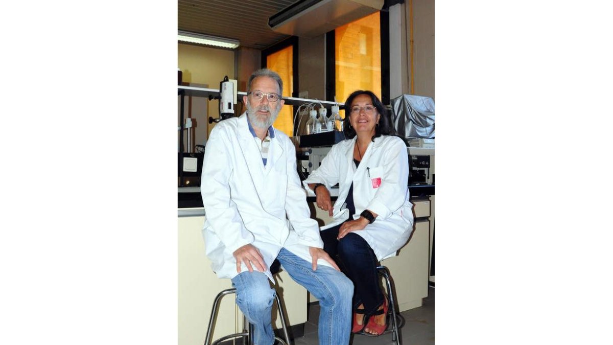 Javier González Gallego y María Jesús Tuñón, autores de la investigación. JAVIER SUÁREZ-QUIÑONES