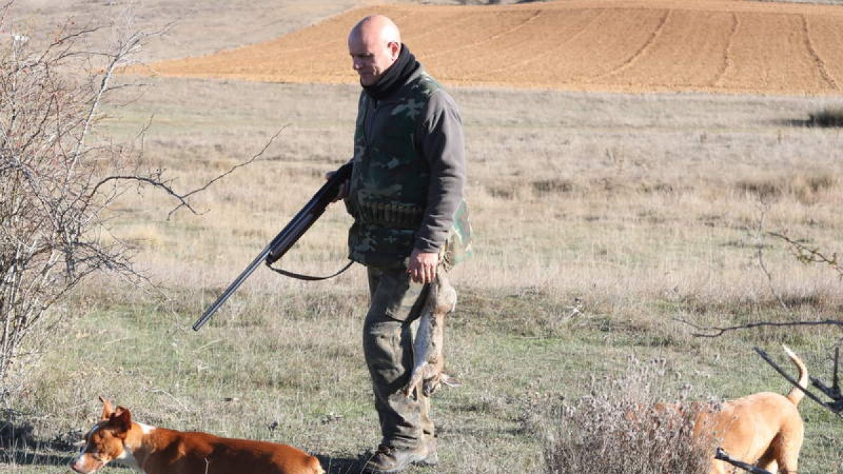 Un cazador leonés en la primera jornada de la temporada junto a sus dos perros. RAMIRO