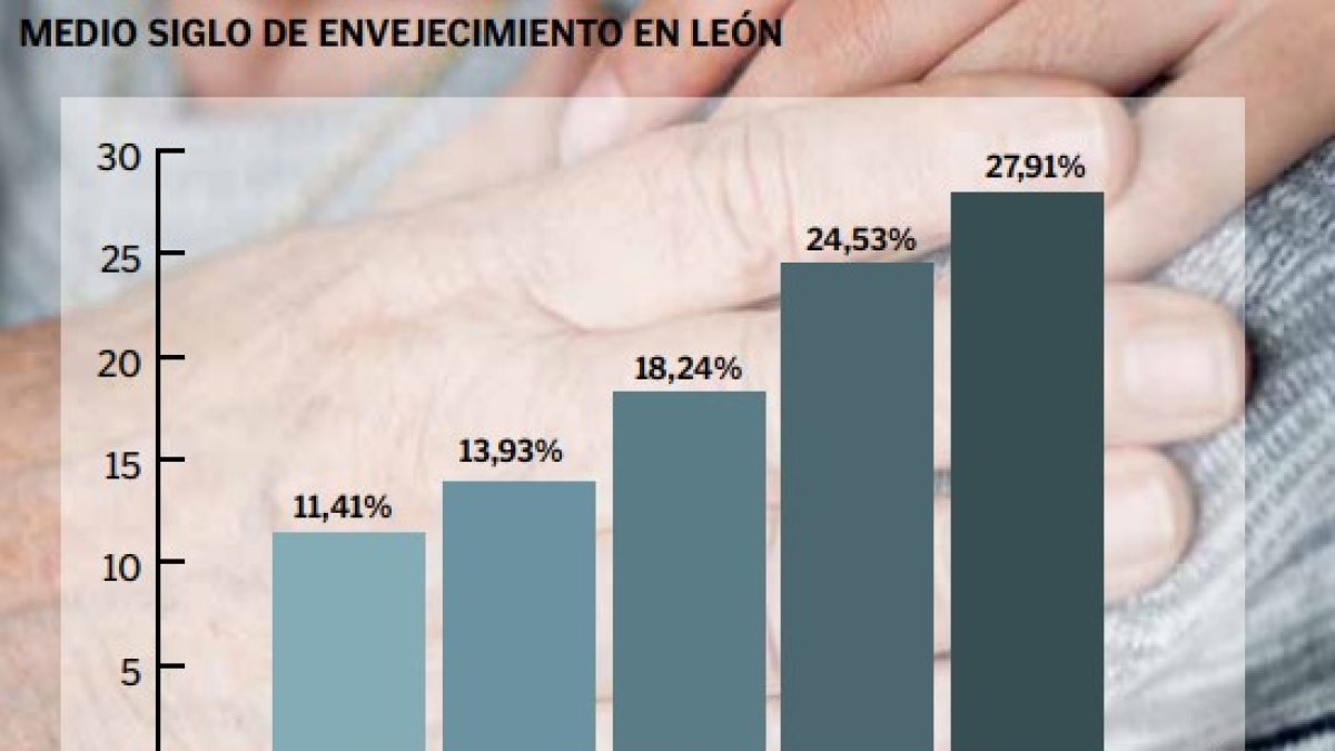 grafico