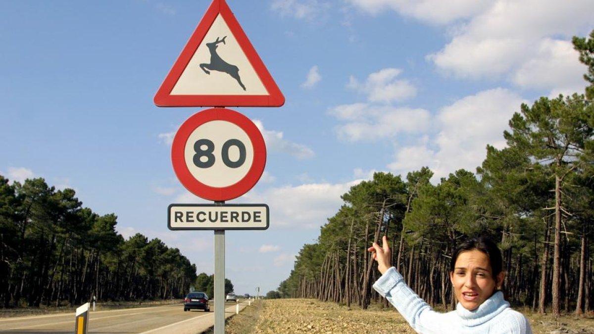 Casi la mitad de los accidentes de tráfico por animales silvestres en España se producen en la Comunidad
