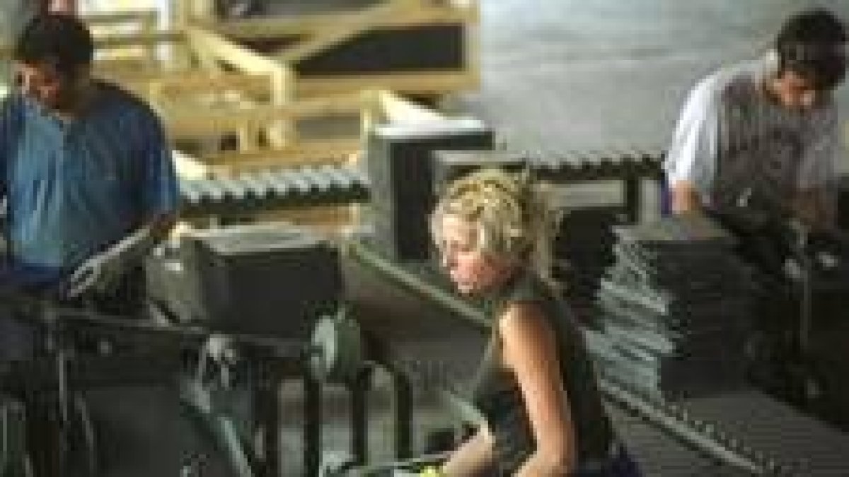 Trabajadores en una nave de transformación de pizarra en Sotillo de Cabrera