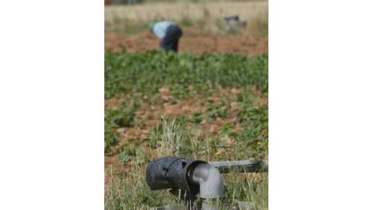 Las nuevas políticas variarán las tareas agrícolas en los próximos años