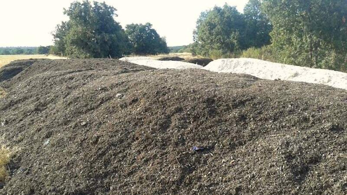 Objetos encontrados en el compost del CTR en las cercanías de Villaobispo de Otero.
