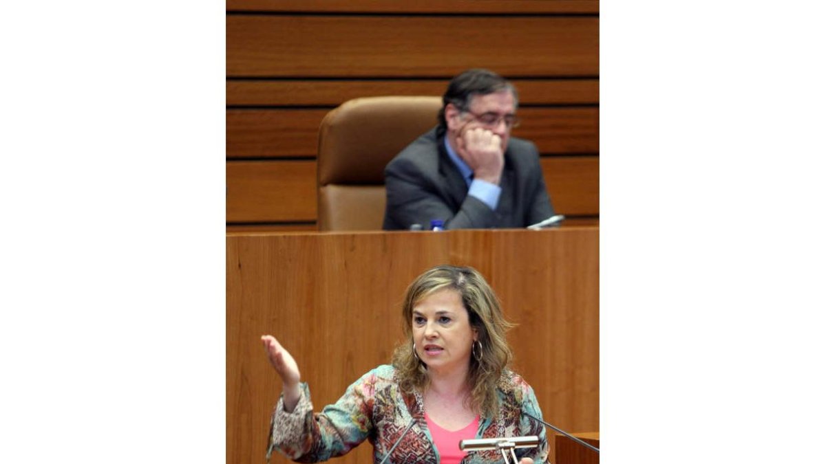 María Sirina Martín, procuradora del PSOE.