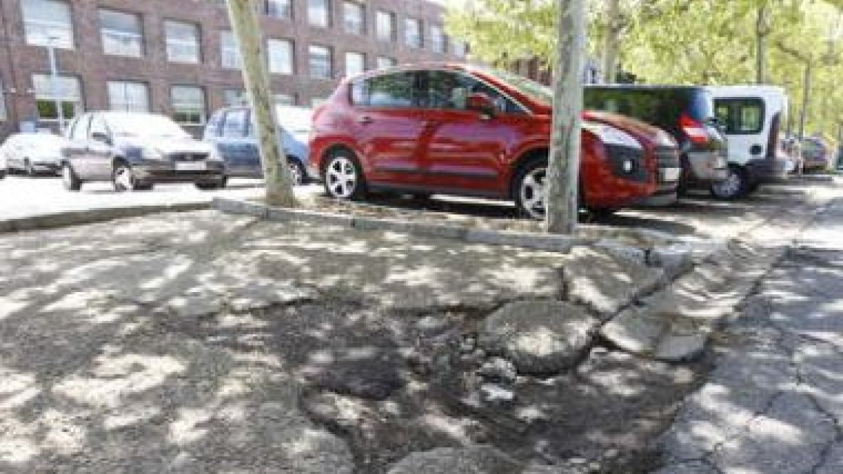 Las raíces de los árboles plantados hace más de dos décadas han agrietado de forma considerable la z