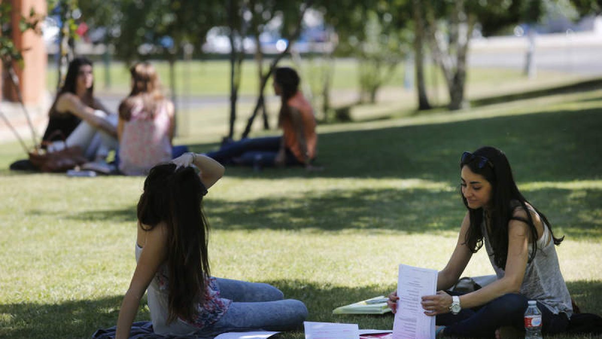 El campus se llenó ayer de estudiantes repasando entre pruebas.