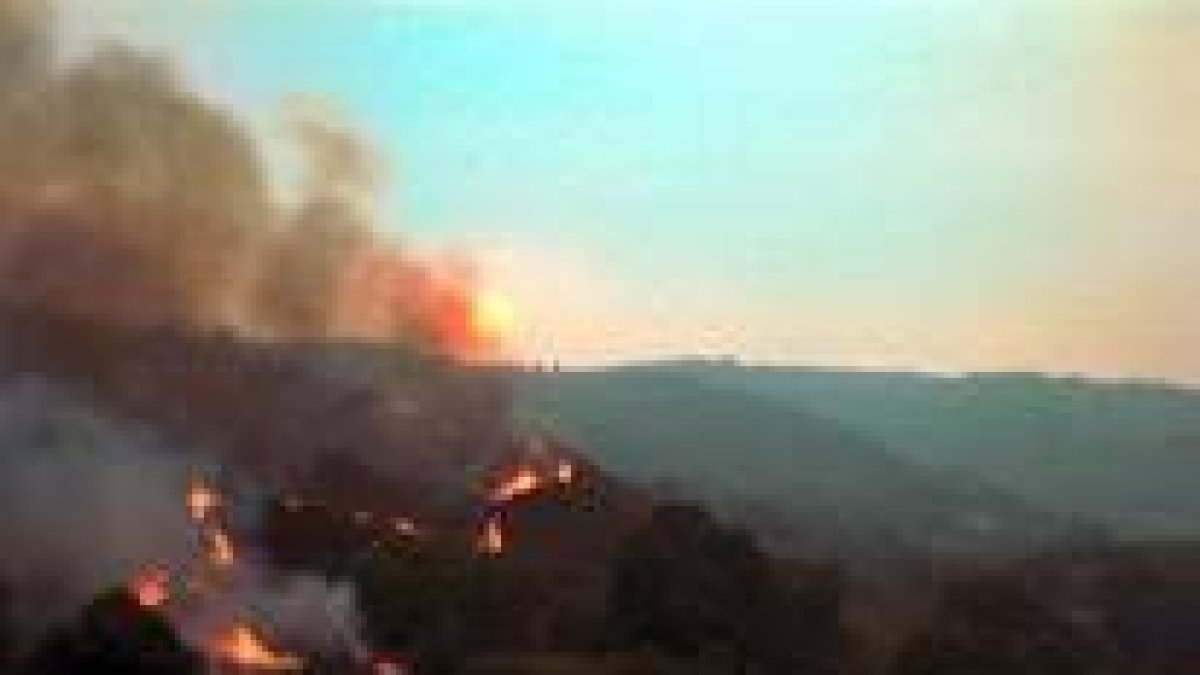 Imagen de archivo del frente de un incendio forestal ocurrido en el Bierzo en los últimos años