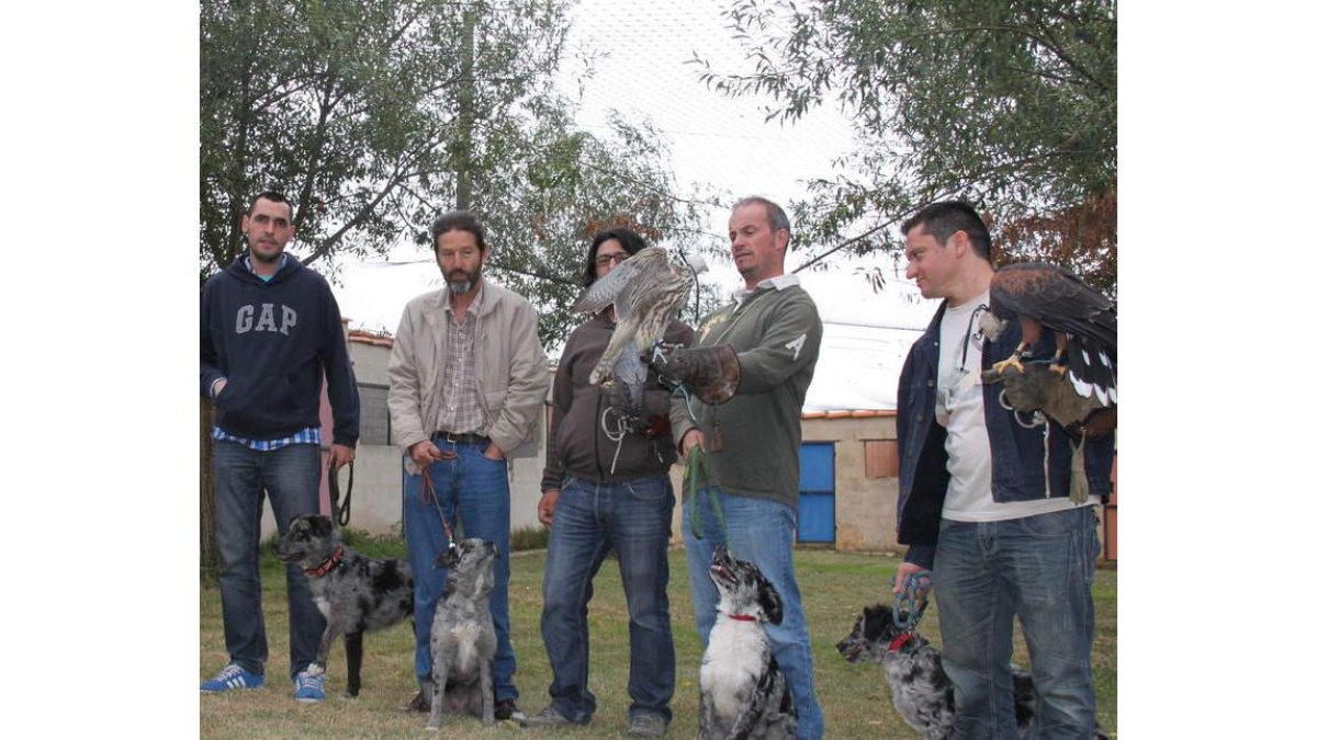 Momento de la actividad con los perros y los alcones.