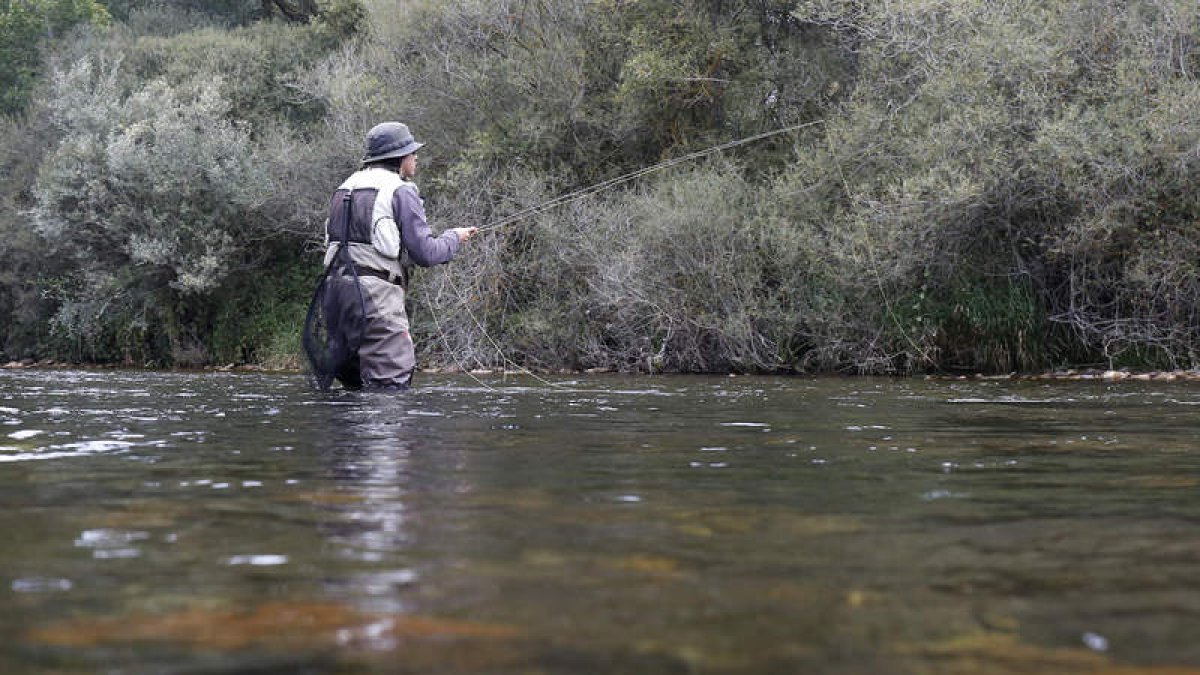 La temporada de pesca llega a su fin en los ríos regulados de la provincia leonesa. FERNANDO OTERO