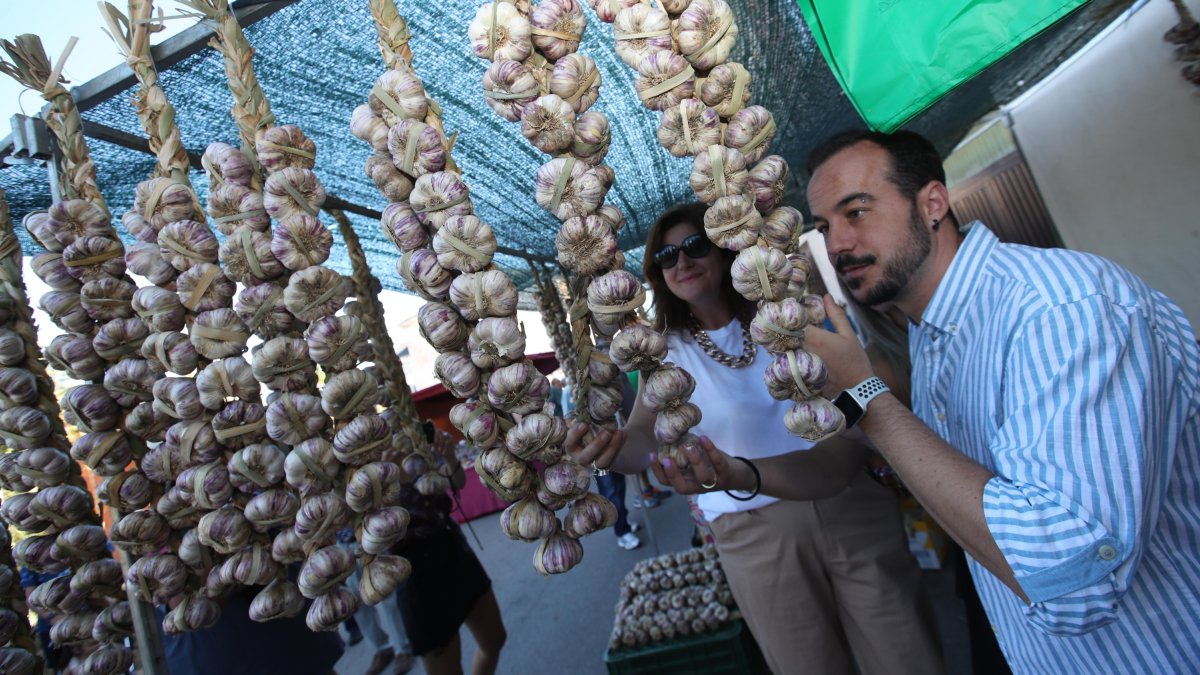 Hasta 160 puestos, 55 de ellos de ajo con vendedores venidos de toda España animan este domingo la vigésima edición de la Feria del Ajo de San Miguel de las Dueñas. Por la noche, la Orquesta París de Noia cerrará las fiestas del verano en la localidad berciana.