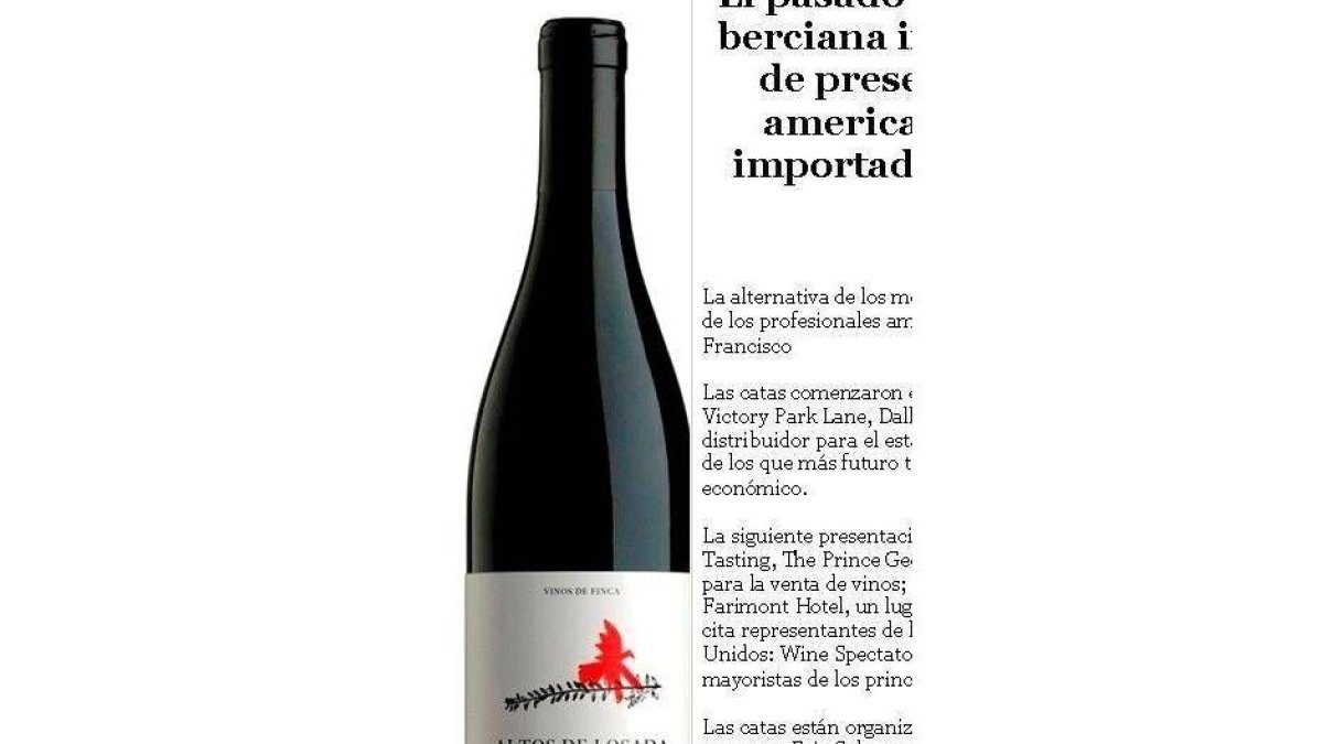 Imagen de una botella de Altos de Losada 2005