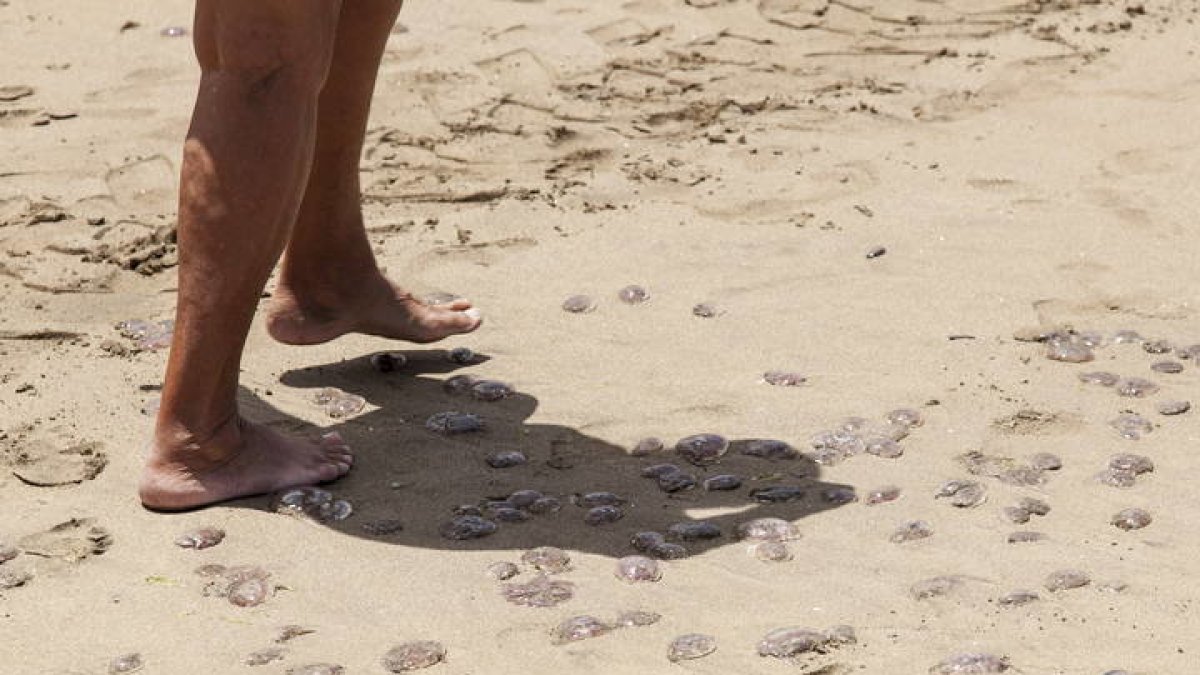 Una turista en una playa de Canarias.ÁNGEL MEDINA G.