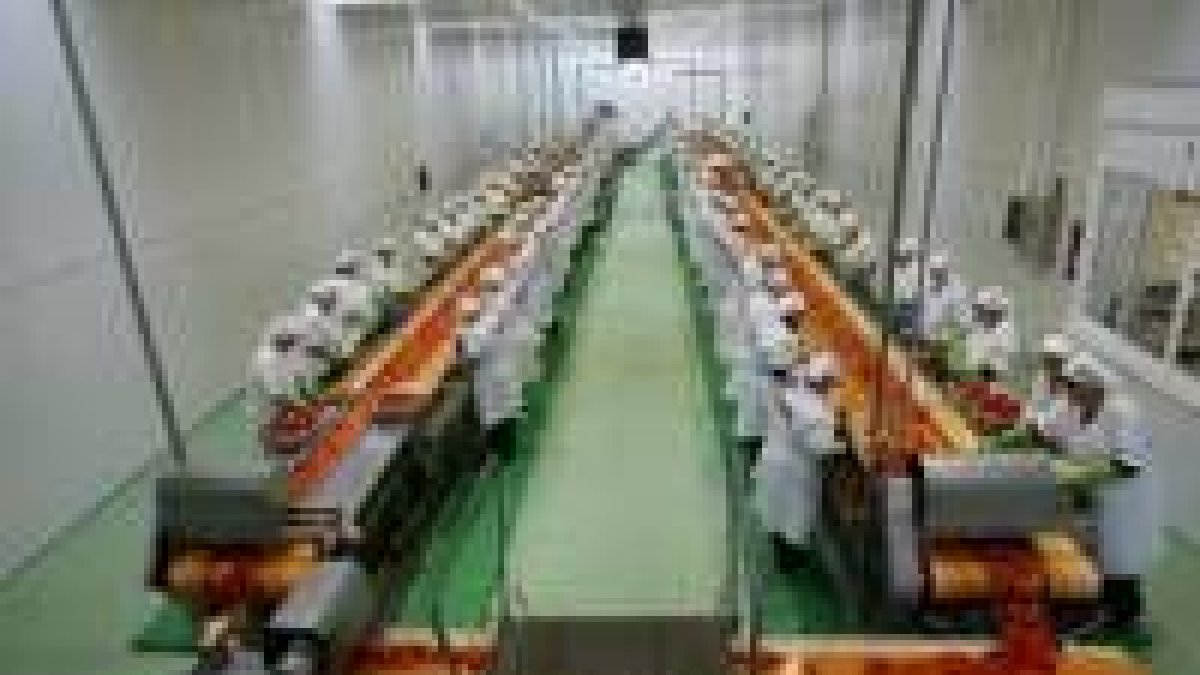 La transformación agroindustrial representa uno de los sectores más dinámicos de la provincia