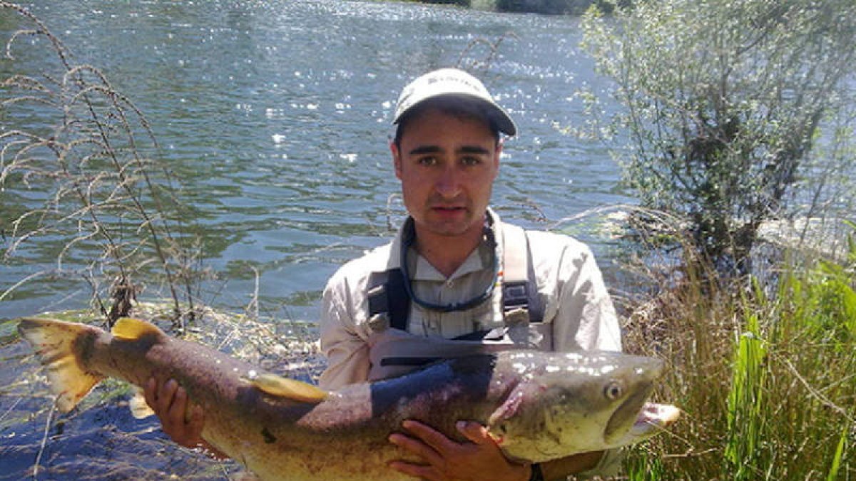 Truchas, dos comunes y dos arcoíris, pescadas en Pereje.