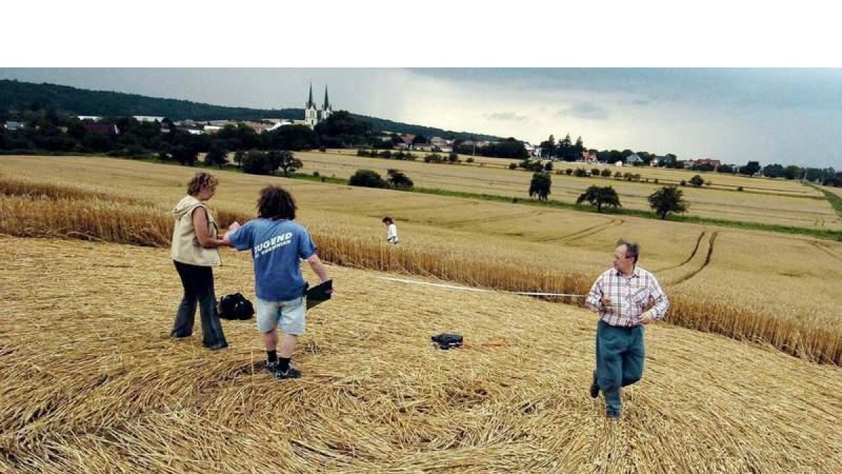 Un grupo de aficionados a los fenómenos extraños examinan los círculos en un campo de maíz de la República Checa.