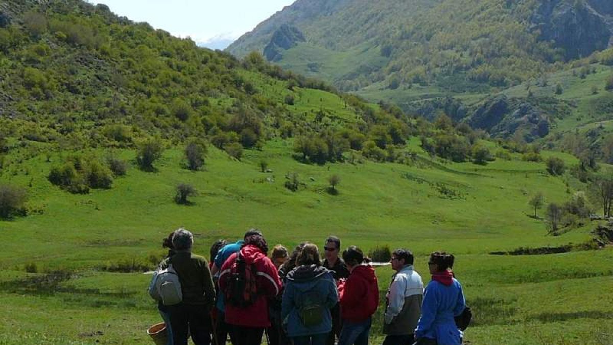 Las visitas guiadas comienzan hoy y se celebrarán hasta septiembre. DL