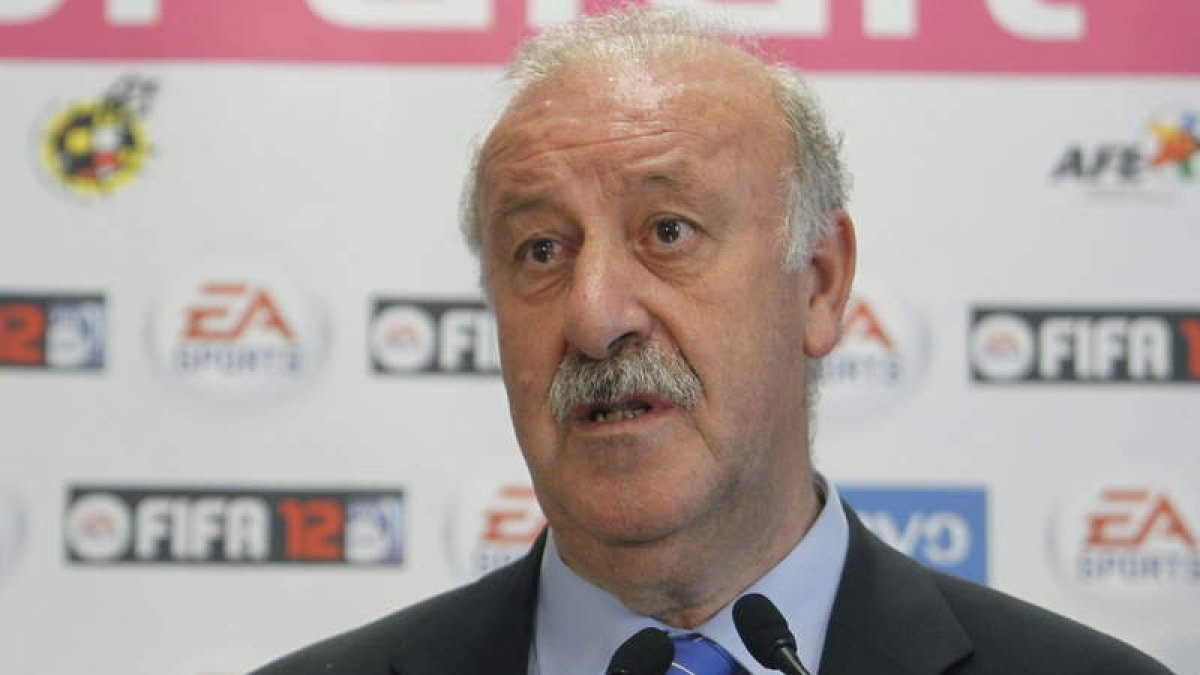 Vicente del Bosque desvelará hoy si cuenta con Torres.