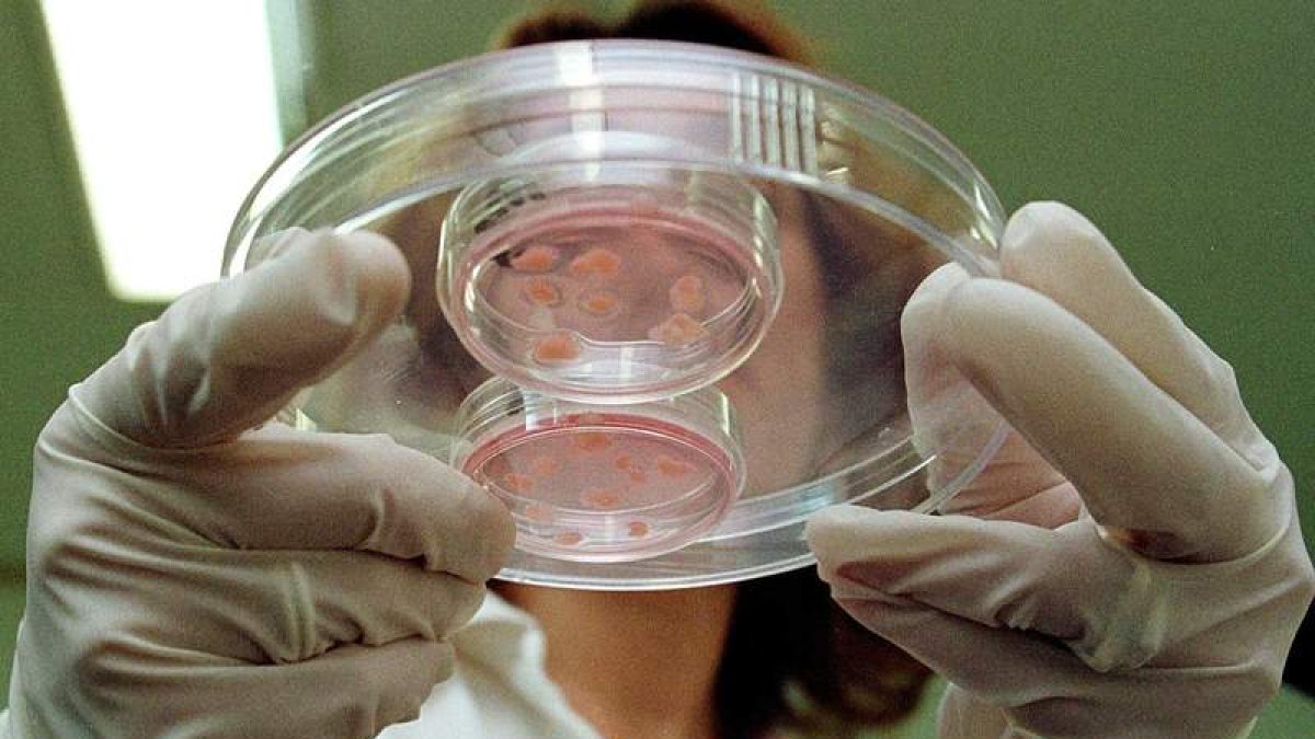 La nueva terapia podría evitar las recaídas. MORELL