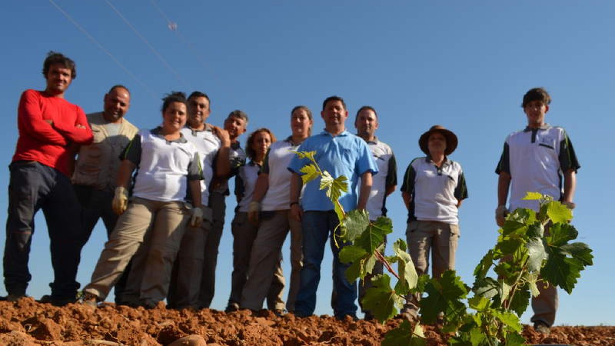 Los alumnos del taller de empleo en la nueva viña experimental. MEDINA