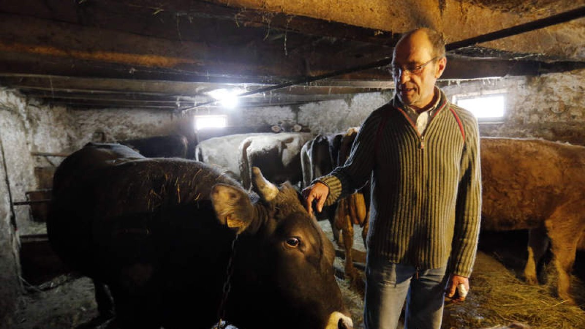 Juan Carlos Pérez, ganadero de Candanedo, junto al semental de su establo. RAMIRO