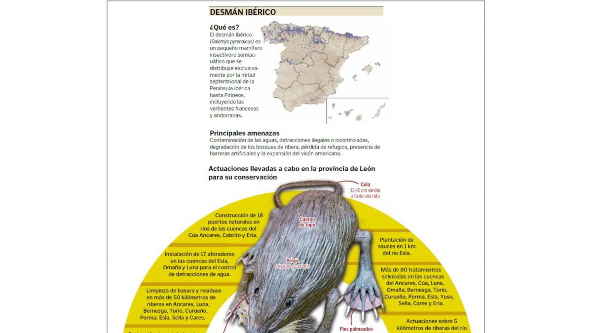 (Clic sobre la imagen para ampliar).