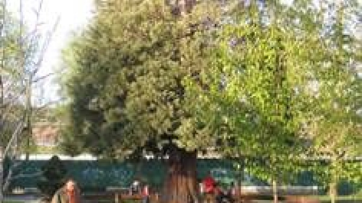 Vista parcial del área que se arreglará para el ocio, junto a la N-VI