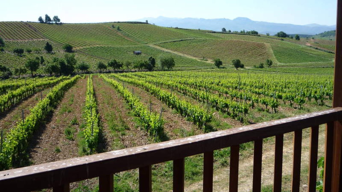La mítica finca de La Padorniña, de 18 hectáreas de extensión, vista desde la balconada de la casa solariega que la preside. B. FERNÁNDEZ