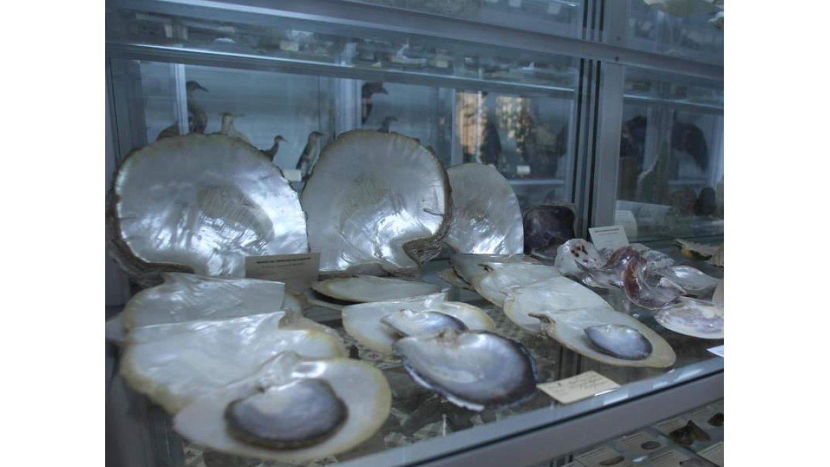 Sobre estas líneas, Museo de los Paúles de Villafranca del Bierzo; los promotores del proyecto e imágenes de otros proyectos.