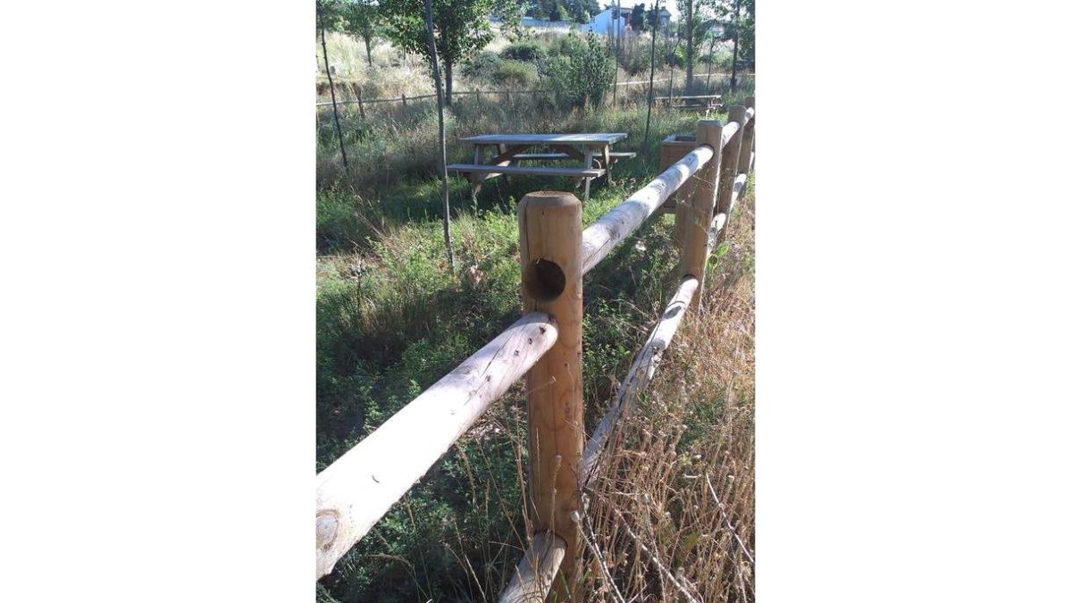 La maleza ha invadido las áreas verdes y las vallas están rotas.