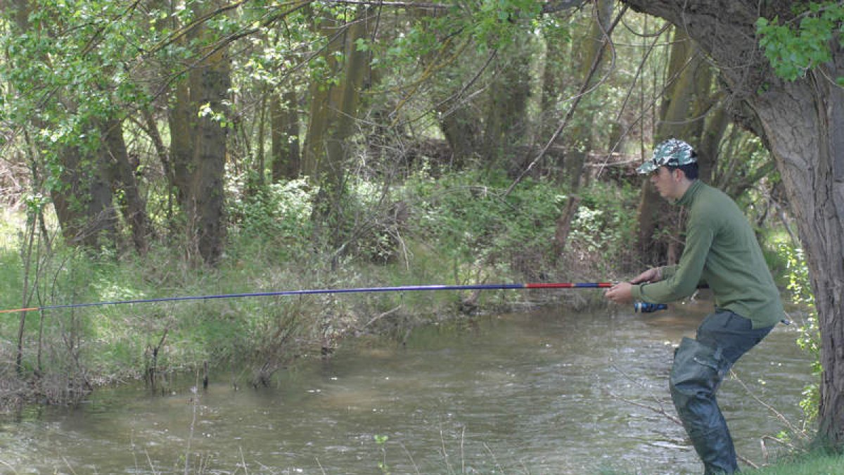 Imagen de un pescado en el río Pisuerga. BRÁGIMO