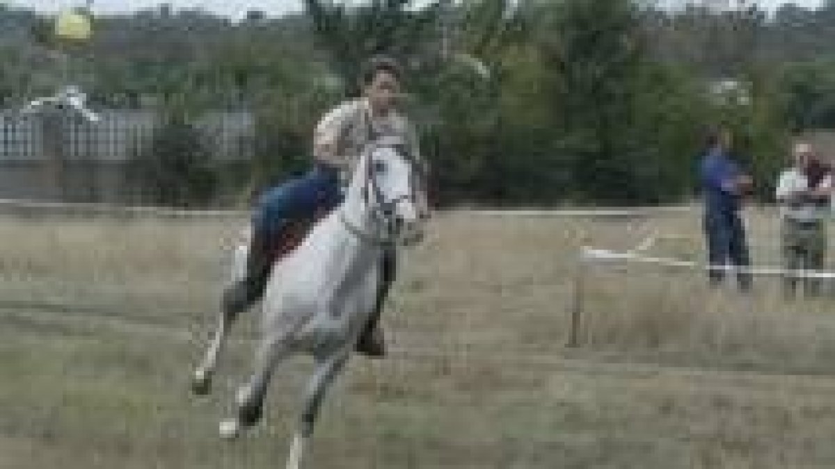 En la competición se darán cita caballos de diferentes razas