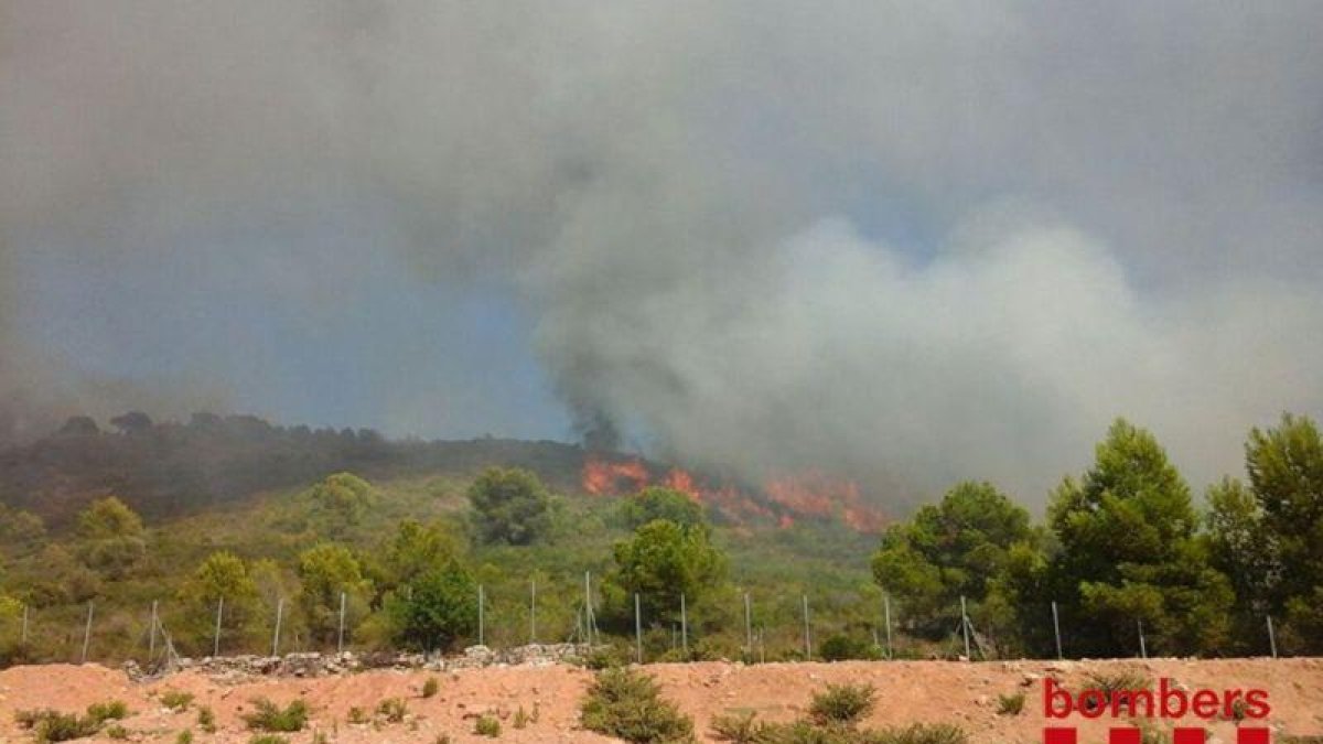 Las llamas se han iniciado en una zona forestal sobre las 15.30 horas de este lunes.