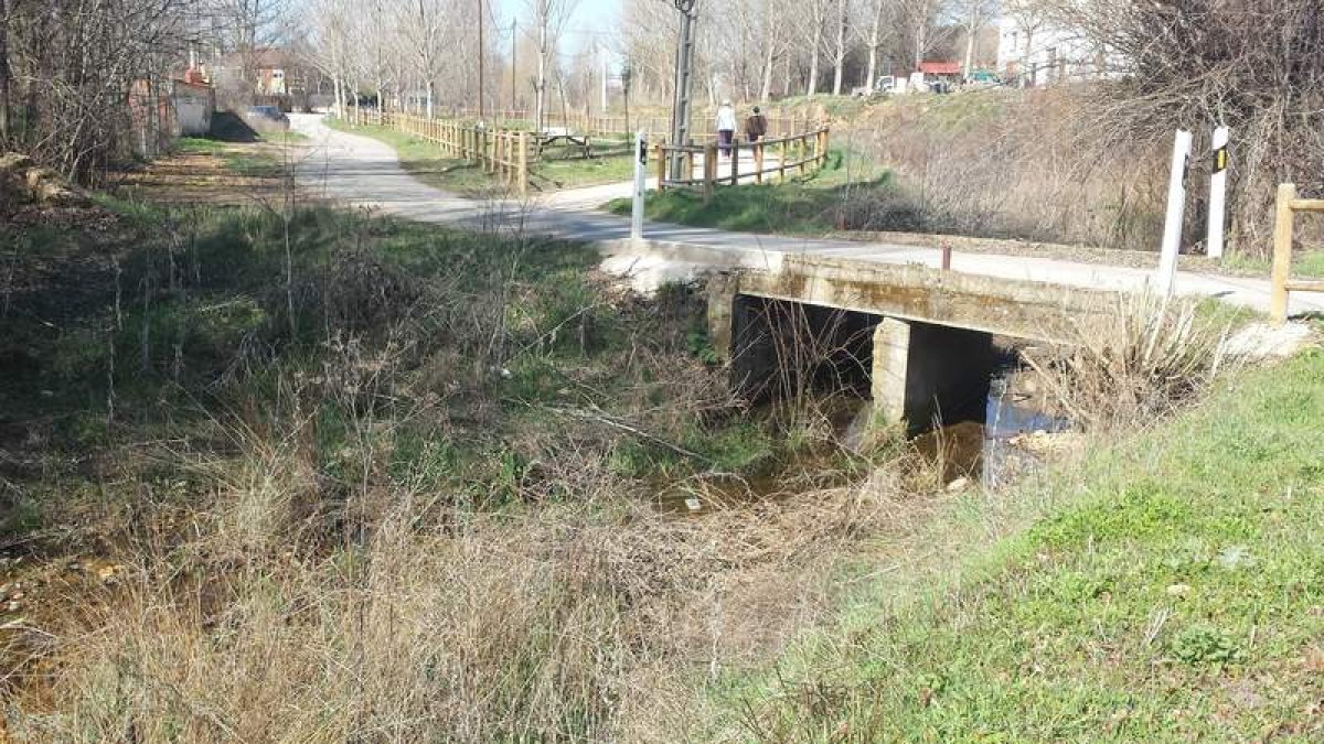 El canal del Carbosillo está saturado de maleza y basuras. Su limpieza ha comenzado por Ferral.