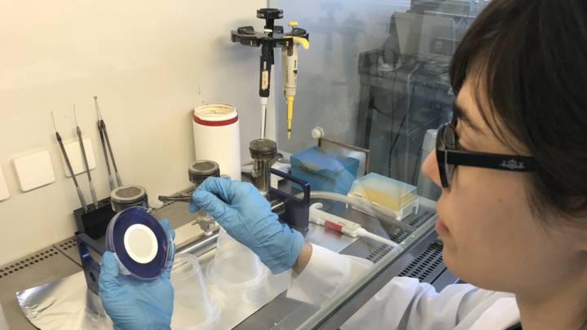 La Junta ha convocado ayudas para la investigación