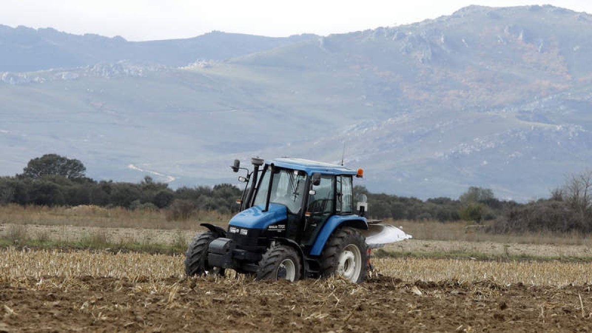 Un tractor laborea en una finca de cereal. marciano pérez
