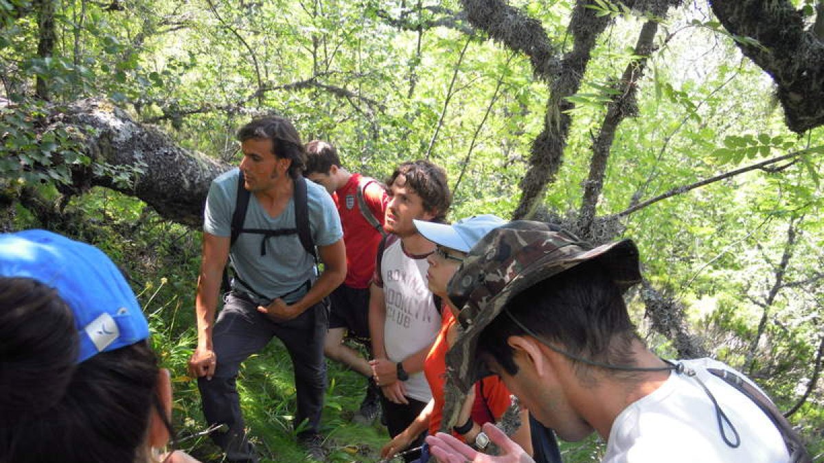 Los voluntarios buscan indicios del ave en la zona.